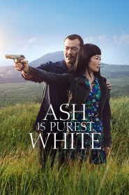 Ash Is Purest White (2018) Full Movie Download Gdrive Link