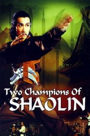 Two Champions of Shaolin (1980) Full Movie Download | Gdrive Link
