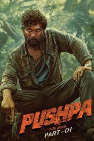 Pushpa: The Rise – Part 1 (2021) Dual Audio WEB-DL Full Movie Download | Gdrive Link | Dual Audio