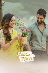 Varudu Kaavalenu (2021) Telugu WEB-DL Full Movie Download | Gdrive Link