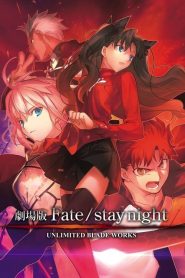 Fate/stay night: Unlimited Blade Works (2010) WEB-DL – 1080p Download | Gdrive Link