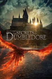 Fantastic Beasts: The Secrets of Dumbledore (2022) – 480p | 720p | 1080p Download | Gdrive Link