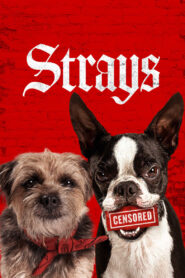 Strays (2023)  1080p 720p 480p google drive Full movie Download and watch Online
