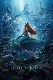 The Little Mermaid (2023)  1080p 720p 480p google drive Full movie Download and watch Online