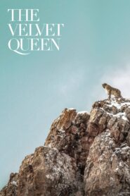 The Velvet Queen (2021)  1080p 720p 480p google drive Full movie Download and watch Online